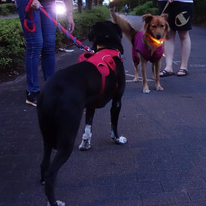 95b76457 b9ae 4637 b3c6 b63a62ed557c 1598009455858