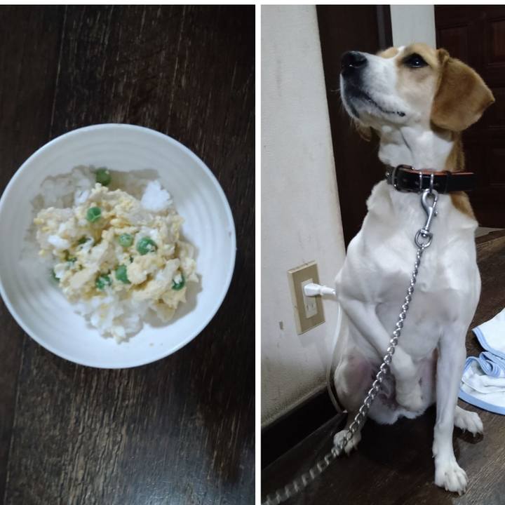 95b77e71 c055 429e b579 bcd159a5bf2b 1621860456065