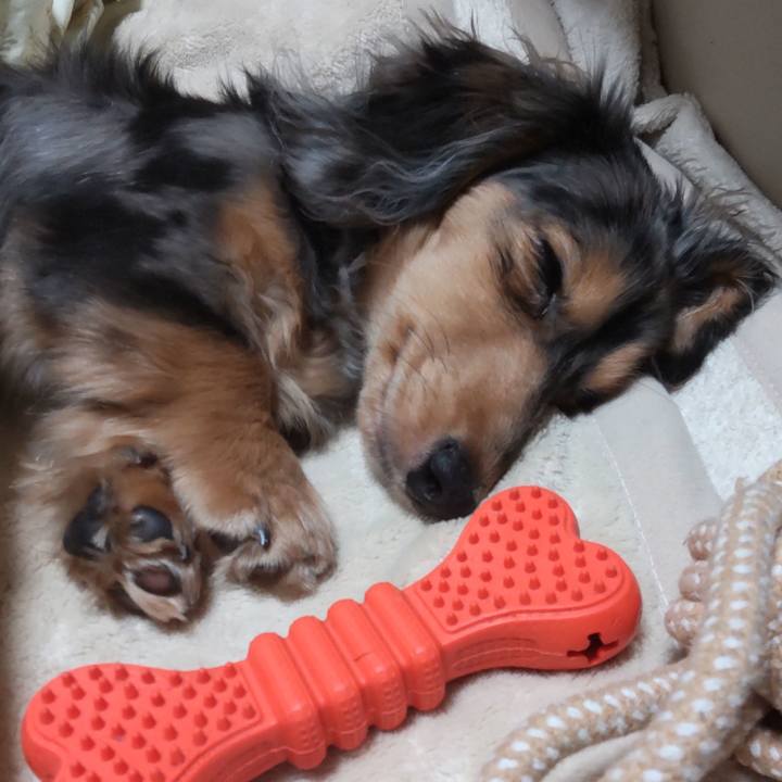 95b78378 daf0 4e85 8905 97d653aa07f6 1707729733267