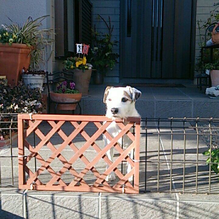 95b78f2f edfa 4d5c 9889 a3e546b7f76f 1516059484022