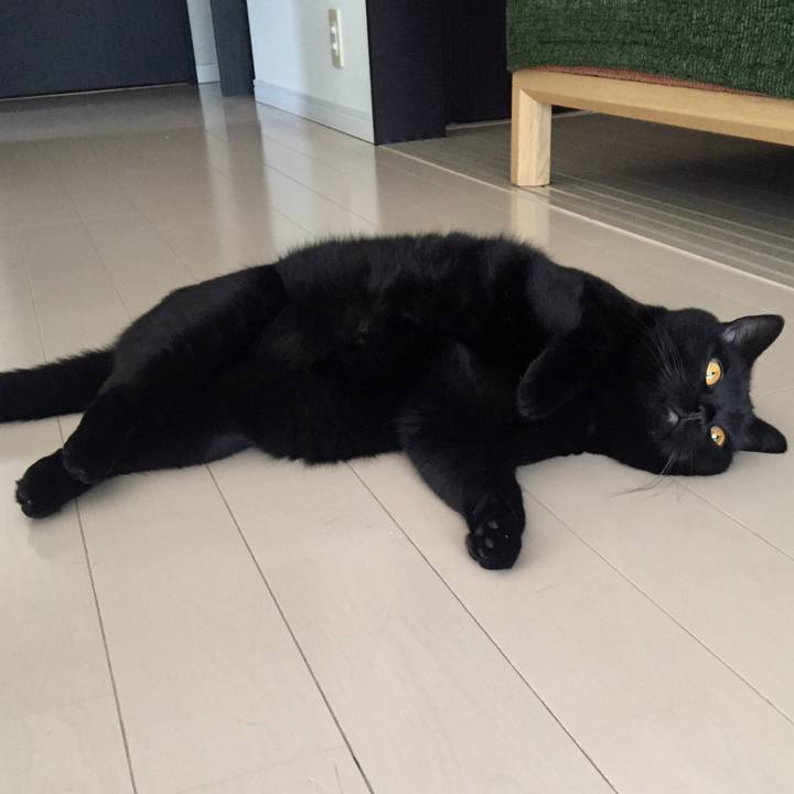 95b808df 69ad 4481 b0be 05ab7614535f 1535963408621