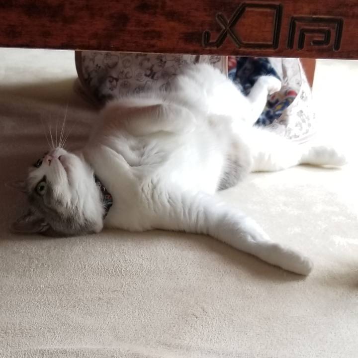 95b8426c e480 4e75 87dc 8af778806814 1684158079408