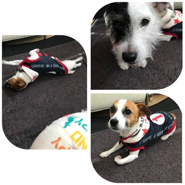 95b89908 0b44 42cd ae9e 5b8c53bb6cf2 1510527010929