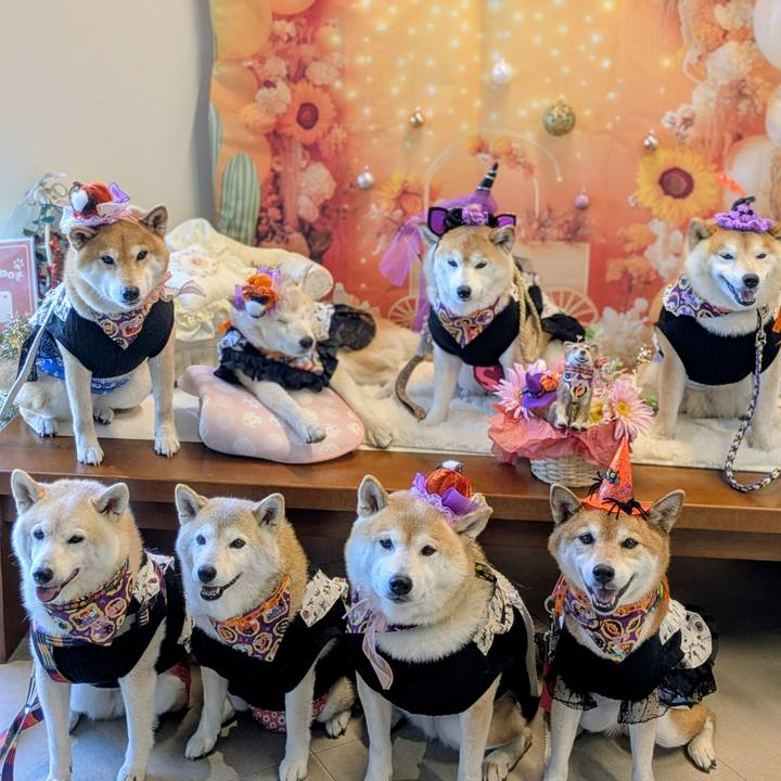 95b8ac63 28a0 49da 8826 0a69c10ec9f5 1759019084492