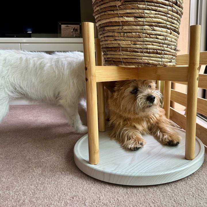 95b8c005 2fd2 47a8 9b47 4c8bd468e56a 1747577295460