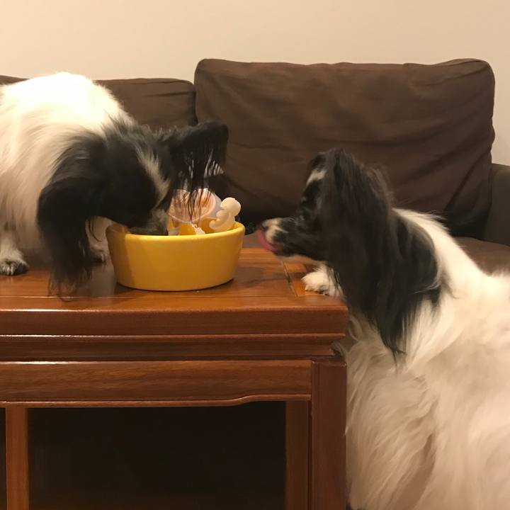 95b9242f 590b 4401 992c 3a7303a25eff 1538484670952