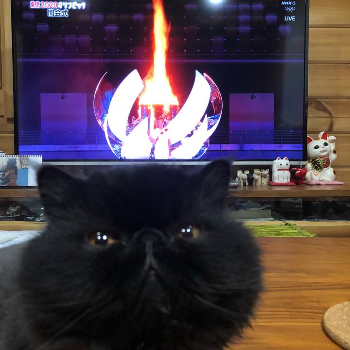 95b9588e d1d3 4d9a b2a4 7b536dcbe605 1627052298770