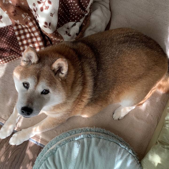 95b98bdb b3ba 4df1 89ea cb455a6c7cbe 1587278637404