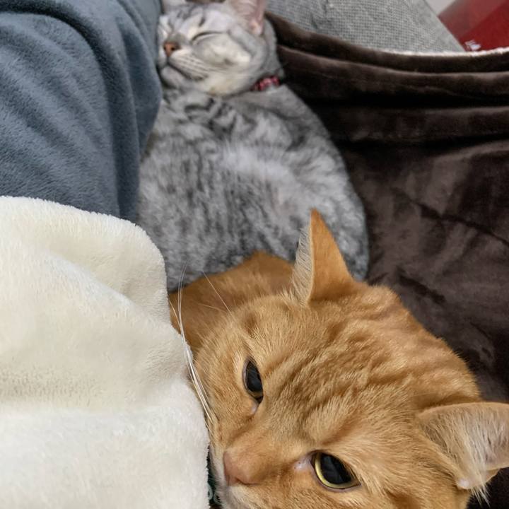 95b991ca 41b0 46ed 870a 00bb67399d77 1584792904628