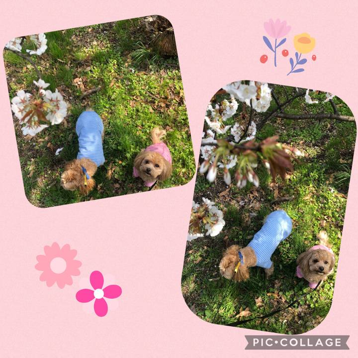 95b9af15 5b5a 489e 9e60 025338e15f62 1616827877776