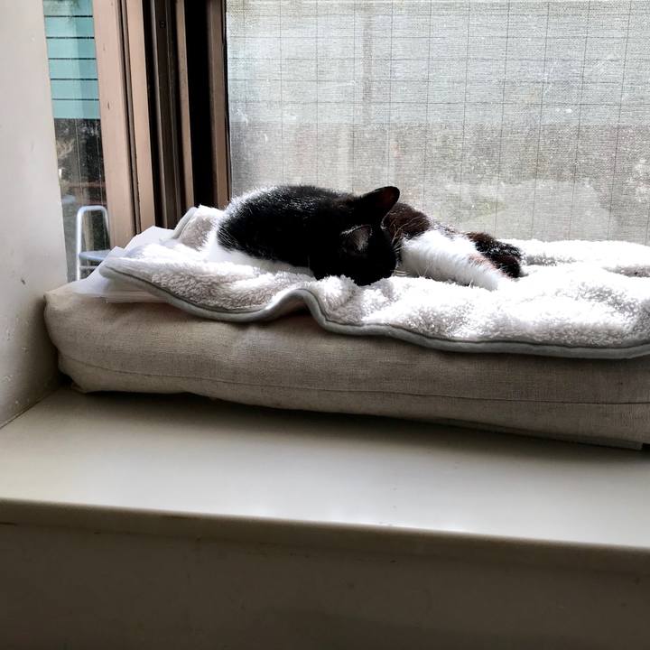 95b9cb68 7aae 4c15 91e4 b829642eb59f 1515213003153