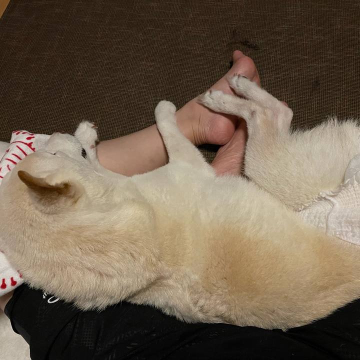 95b9e76a dadf 4b79 892e 89ca7475bd90 1664033594655