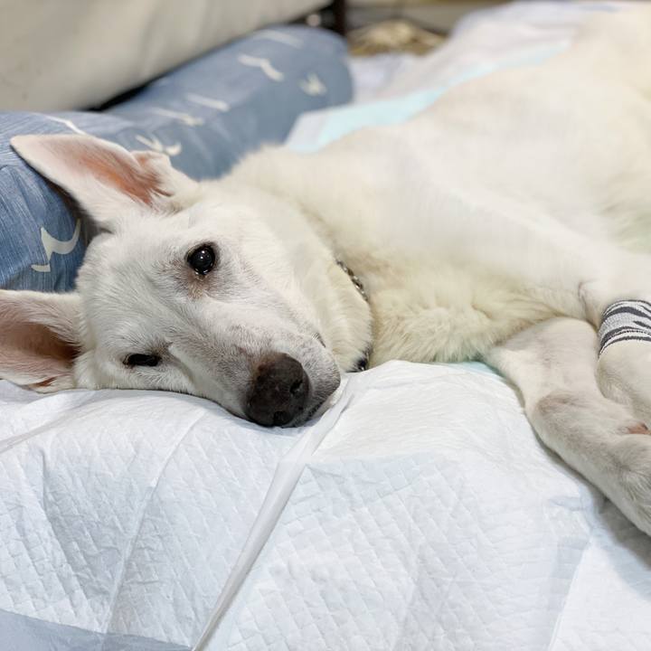 95ba2016 f23d 45ce 8103 6a271c8f797e 1604754817353