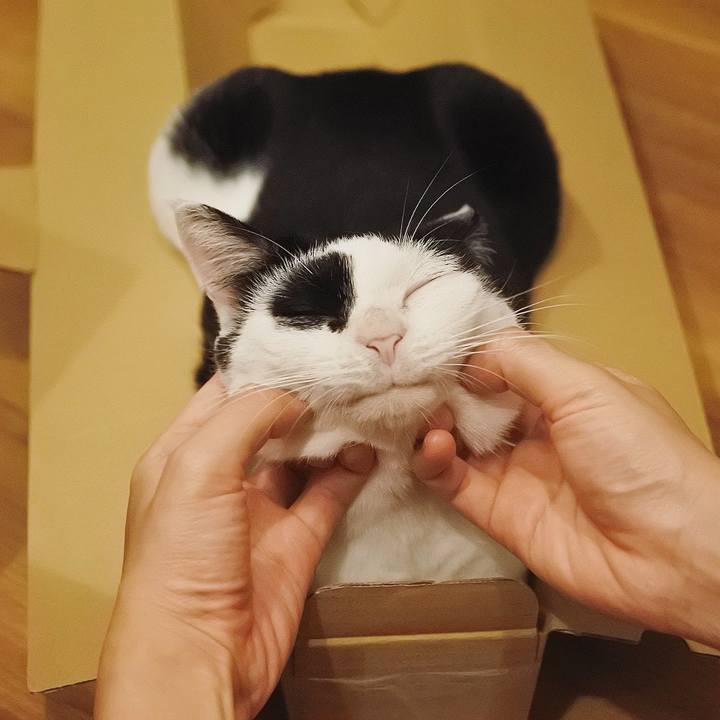 95ba21b6 d1b9 4de6 a8be e10041b704c8 1630065453674