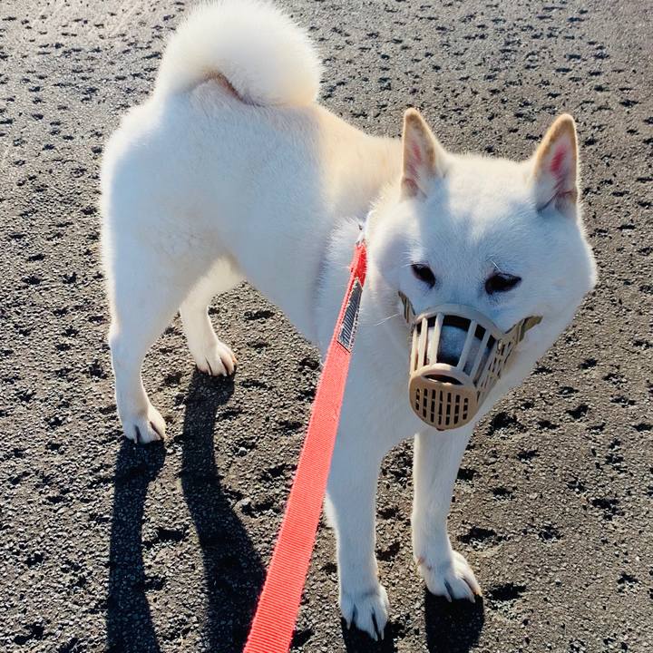 95ba2263 4c37 4b64 8e0e 94739bcafcd1 1572316944890