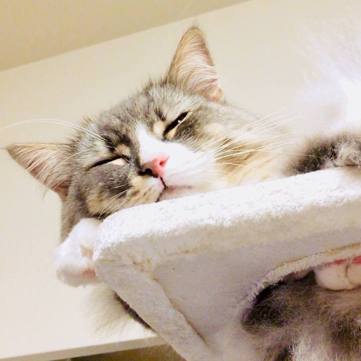 95ba5a24 a298 4320 9fe3 43328cf05c53 1530142518408