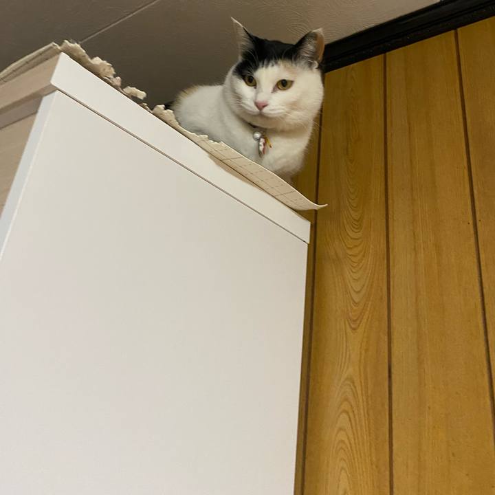 95baae2b af73 4901 a03c 09345f020750 1646515413495