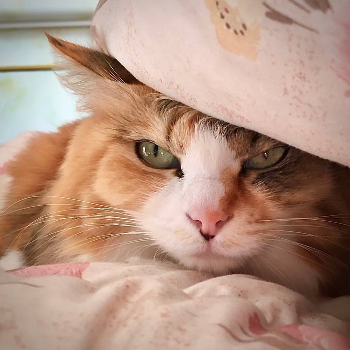 95bab86c c681 479d 9112 ebef5022cb2f 1577955265525