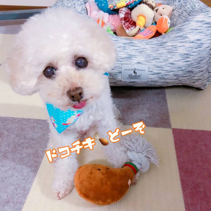 95bac143 42b0 45a4 8fba 343d75678b79 1545569279346