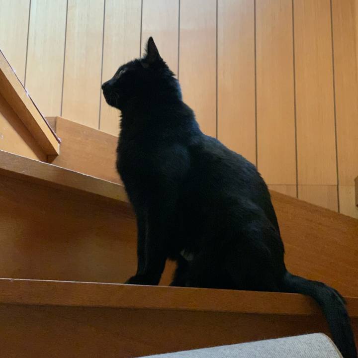 95baef0a af6a 423b 9e07 48afc82f00e5 1585013508632