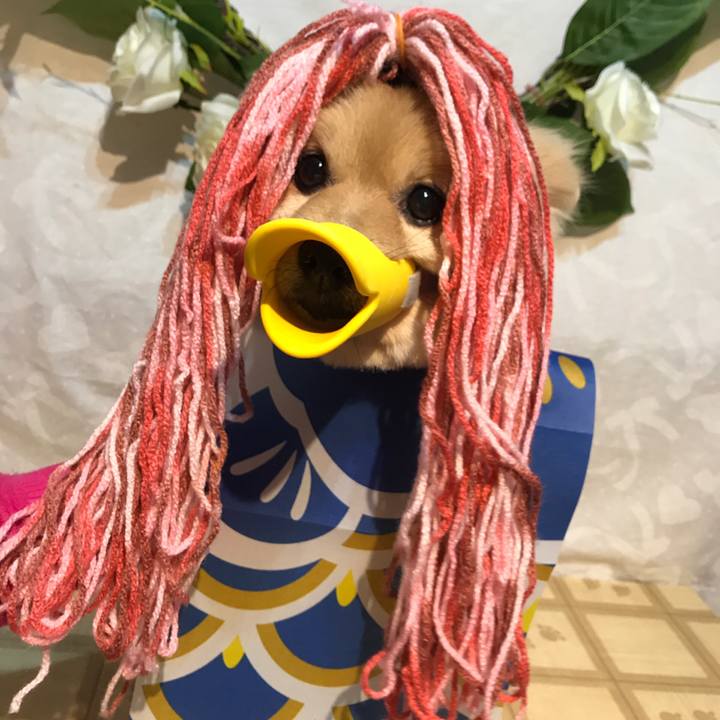 95baf5f1 27f5 44ac a43c 80bb345d7c15 1588748849092