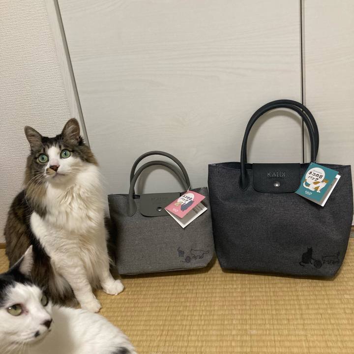 95bba274 5fa2 49ba ba6d 4cb24d1d2c19 1771748108020