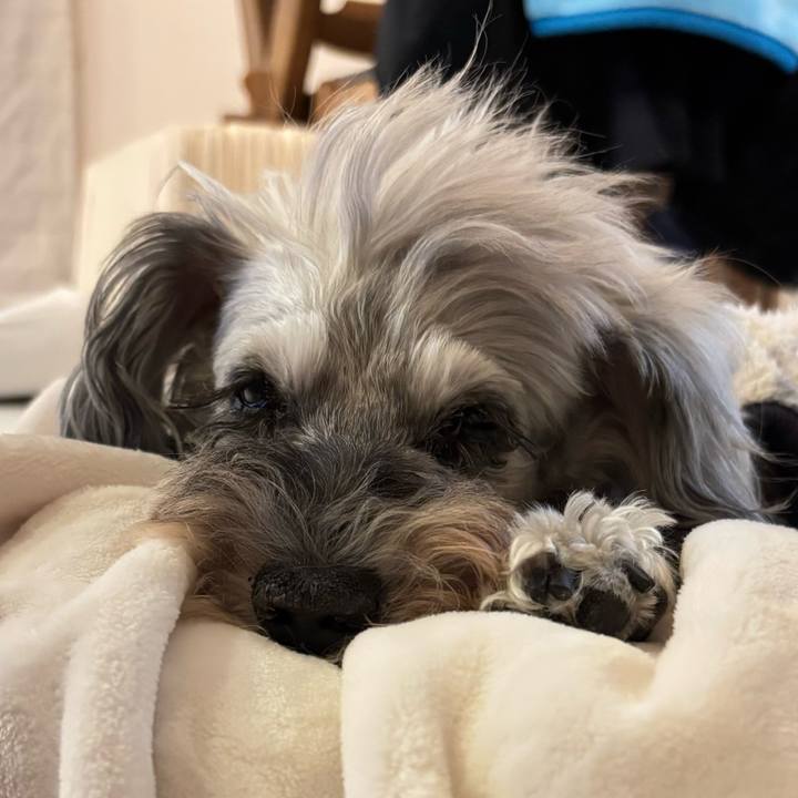 95bbb39f ae77 4f99 8088 f607fdae5c84 1762771041824