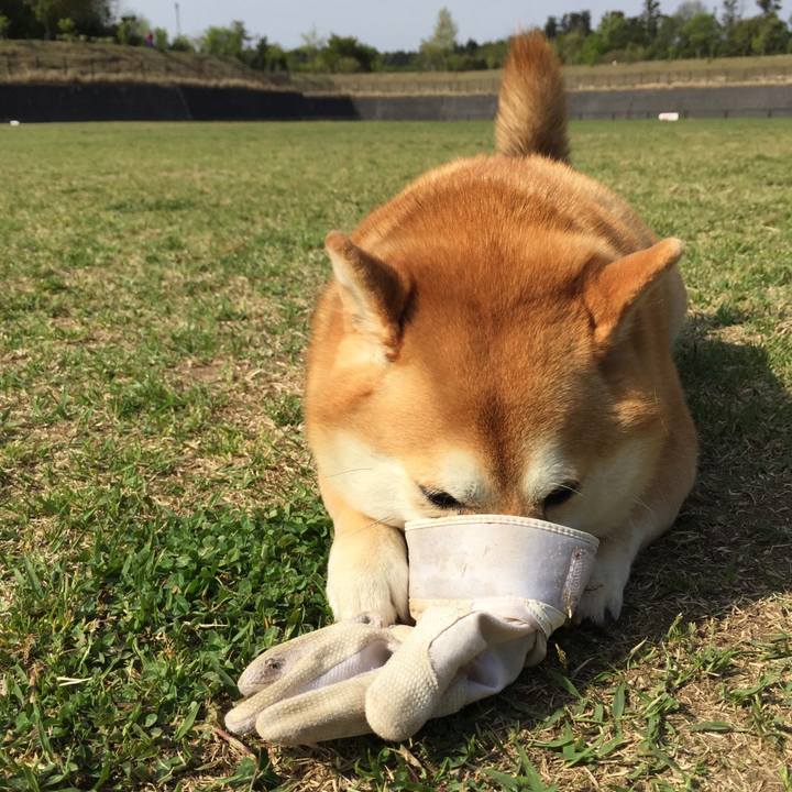 95bbc051 fa59 47d1 aaef d89a22702612 1556426487065