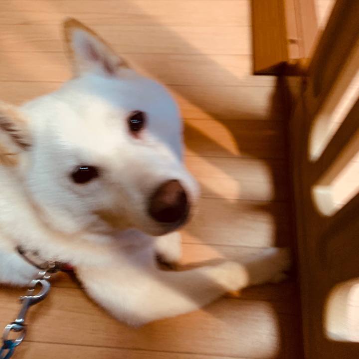 95bbe733 ed17 4cff b667 6fe0fc5d3d08 1595448771923