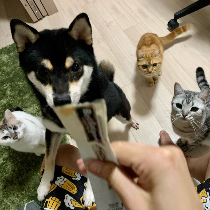 95bc17d8 65b8 481c 81cc d125f378a8a5 1633089434441