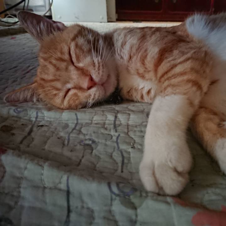 95bc1c7b 7d72 43db ba44 d2d11a8b7d2c 1564192837119