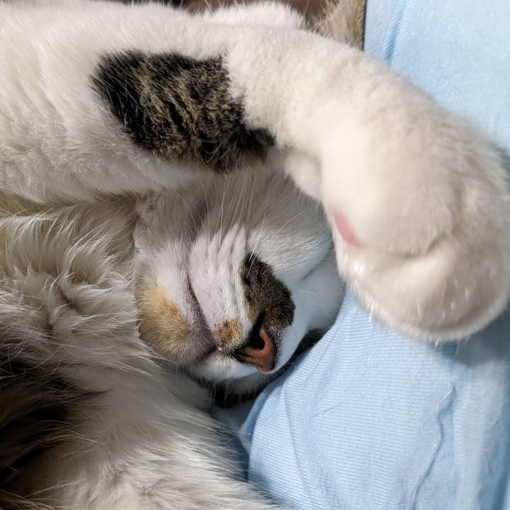 95bc3ce2 480a 4dbe 981b ecedc03fdd5e 1702263957355