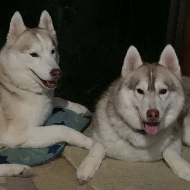 95bc452a dbf5 4337 94c3 ea15238d4d4d 1592650675395