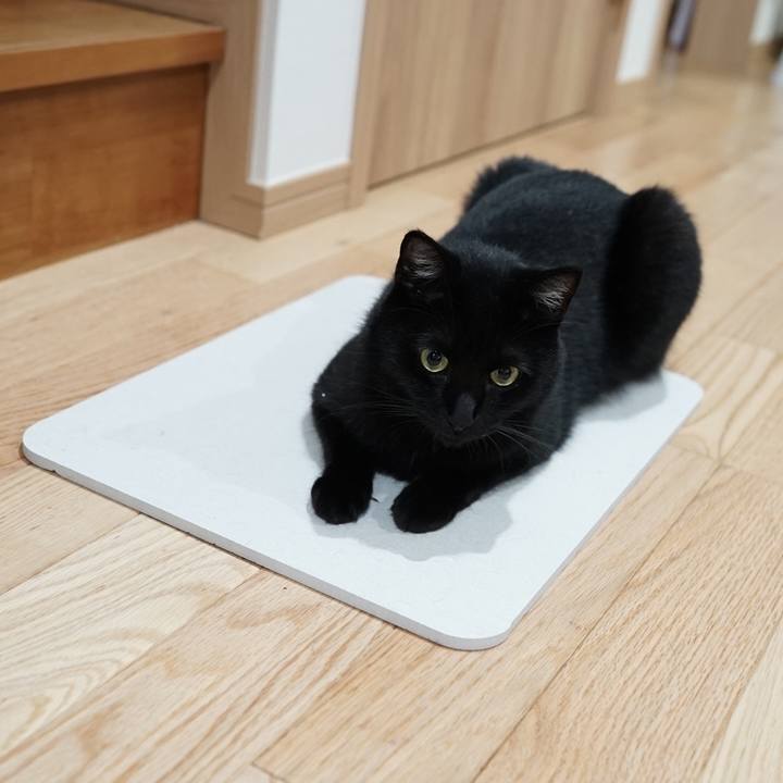 95bc79a3 2606 4ceb 9fb9 7d7f6c0db6d8 1562198343788