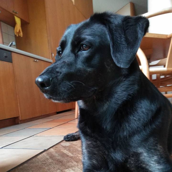 95bccb9b fb30 436e b4ed 2f6df6e9e2b0 1559725618417