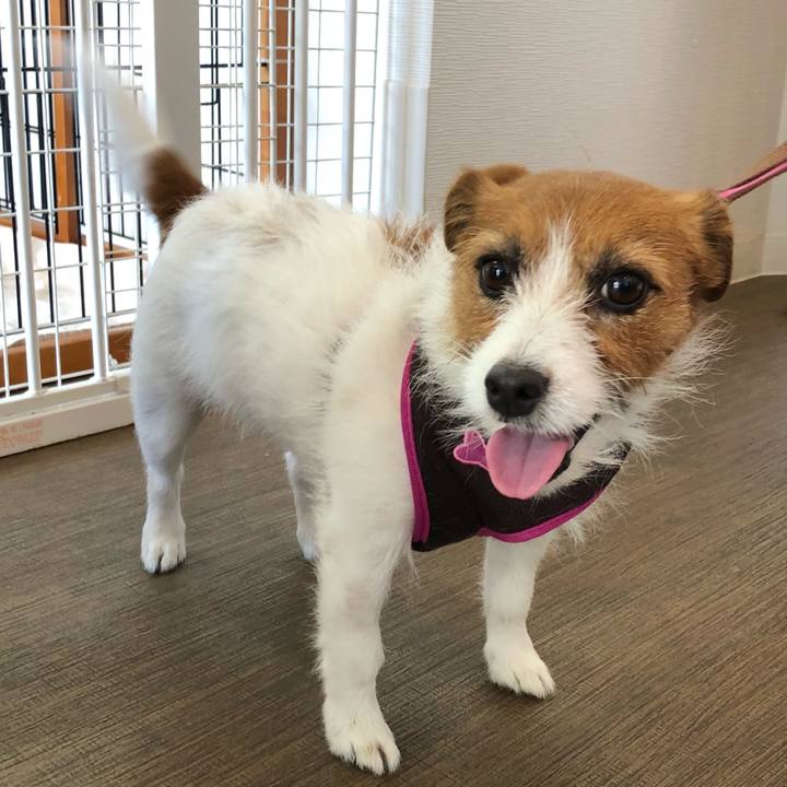 95bce857 32b6 4c98 a786 65cac69f2f1f 1524277604905