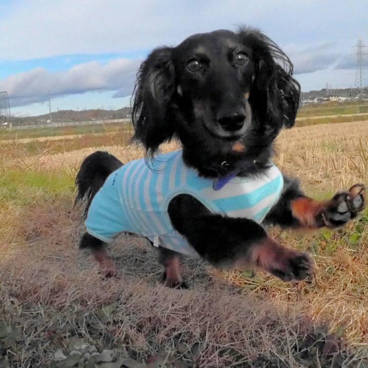 95bcfe0e 03f3 4381 a0fd 9f5d51c589b0 1544339122847