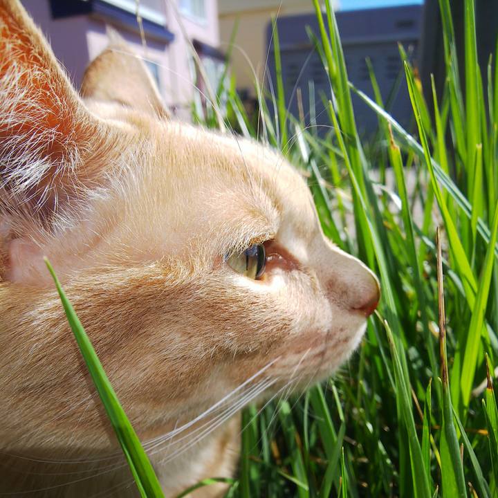 95bd1c3e 41a6 4310 87b1 3addca57e3ce 1665201430145