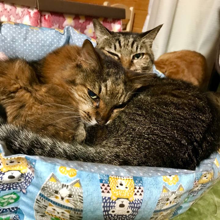 95bd3f16 9b6f 45f7 b008 0fb8ef4d7369 1516804235507