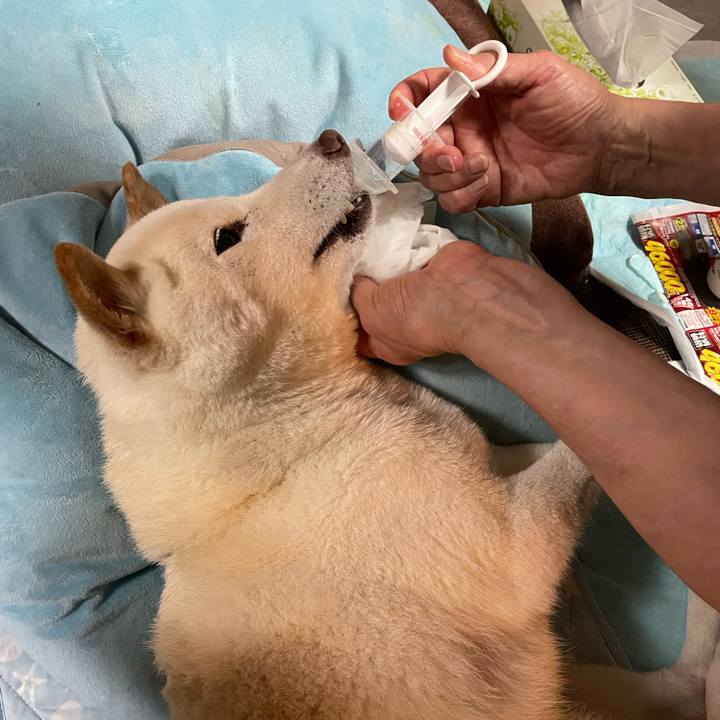 95bd42a7 5491 4ee8 9071 e6dce91d1e18 1656329555720