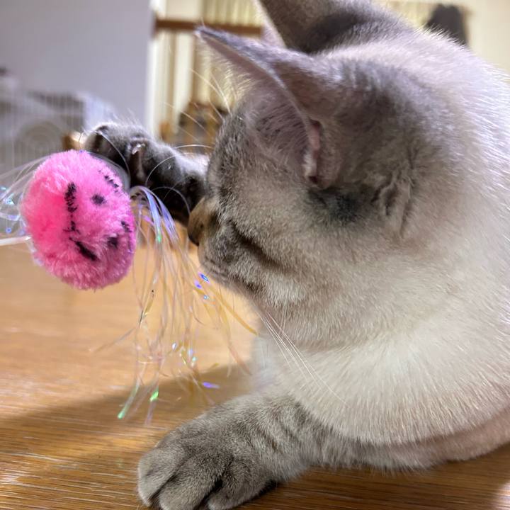 95bd5283 61ba 4489 b54a 8c9fa3f54a2d 1737462424576