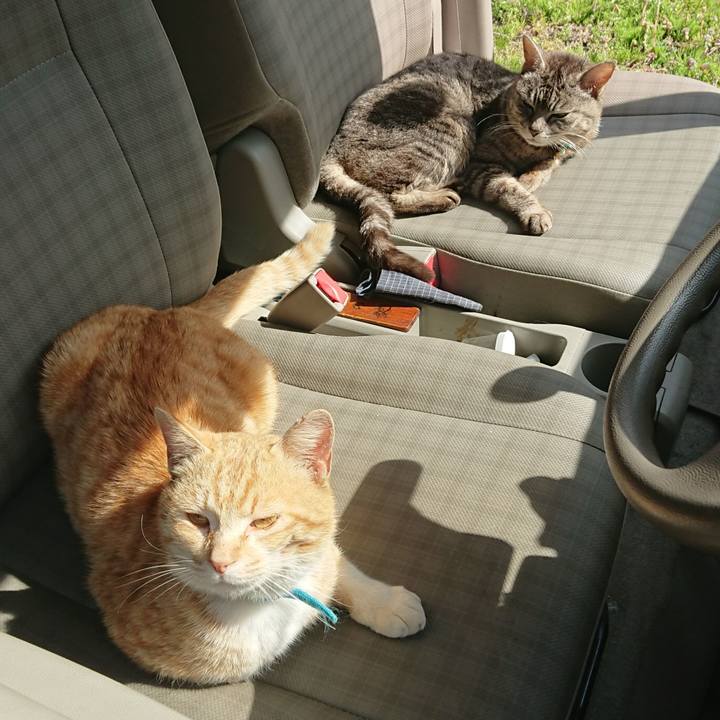 95bd99cc 3ac7 4eef a26b 768a63459134 1556515100534