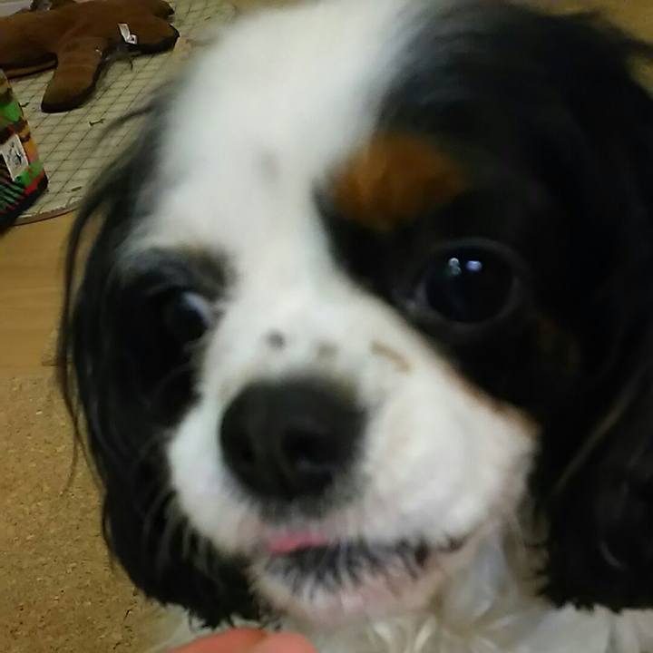 95bde20b ba60 4fb5 a6d7 a1b33048fed7 1549539001688