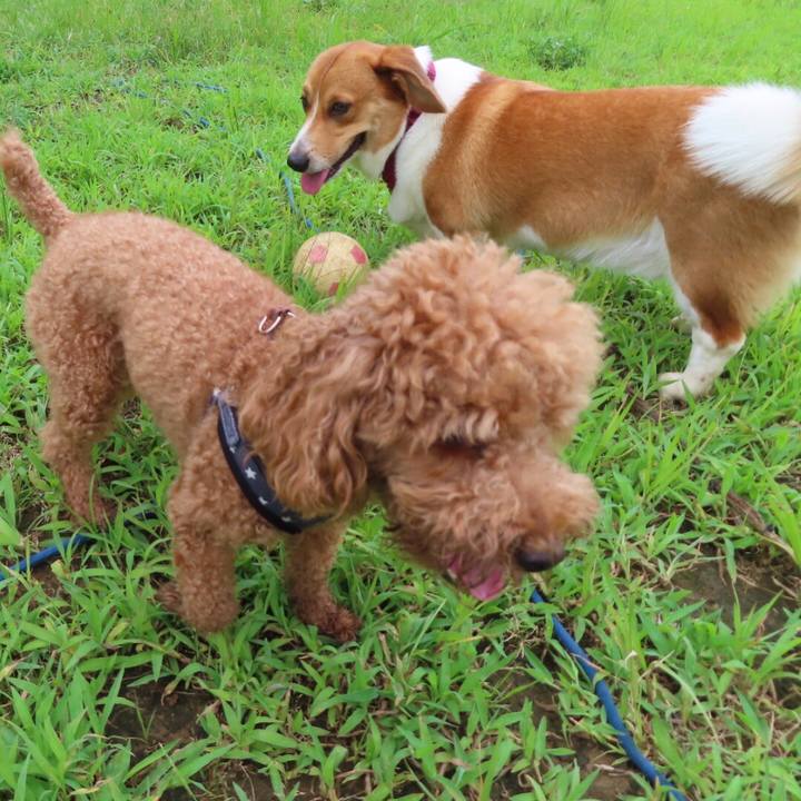 95bde542 ac46 46fe b520 8b449df9b2c4 1629077185342