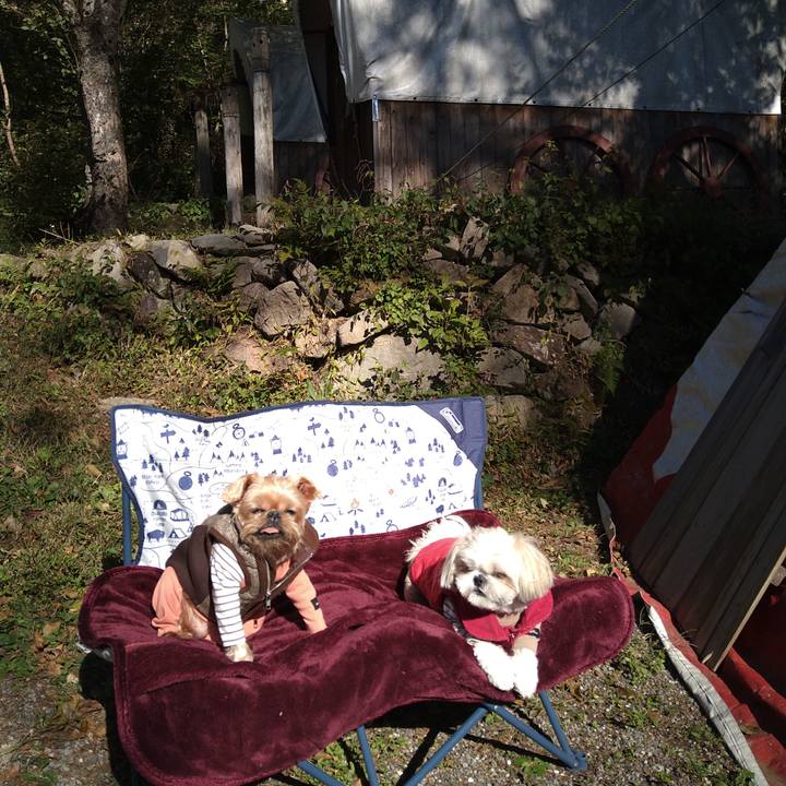 95be1ec9 e7f9 459d b79d 7cb1cc244305 1635076617202