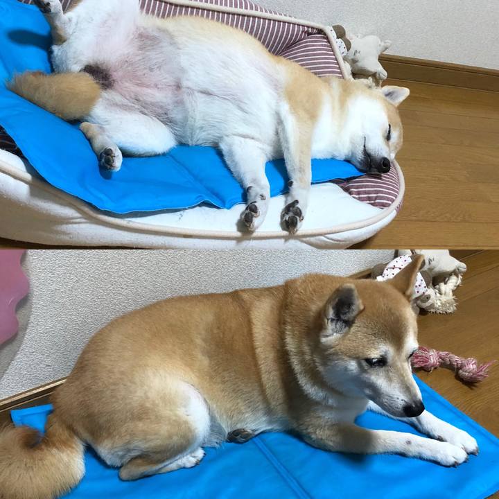 95be1f26 d52b 48f0 9702 2d7d111b5720 1599561113425