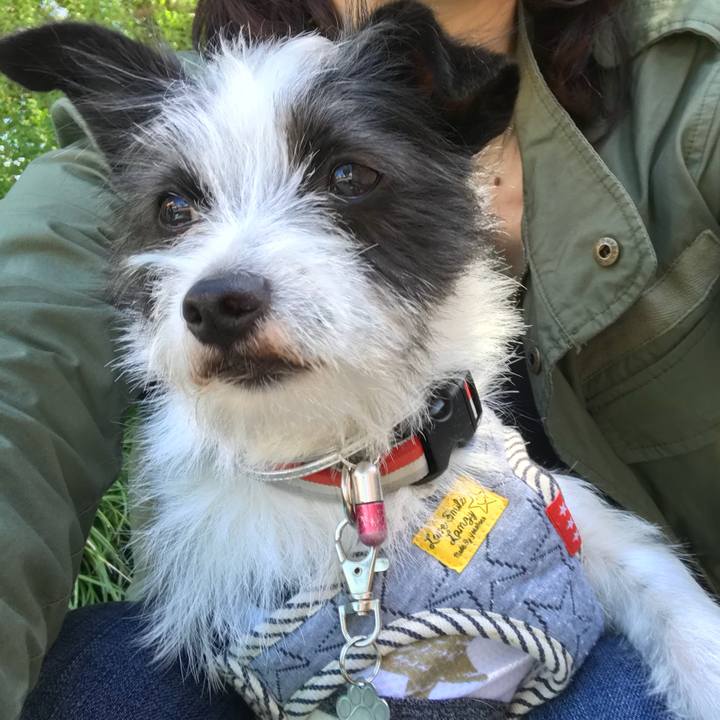 95be2815 03d7 4a16 b419 85046f87e83d 1526899786263