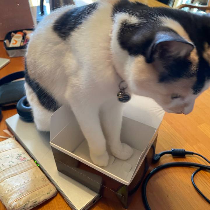 95be4b80 f7d8 4391 9eb1 564a40c9b745 1739062874330