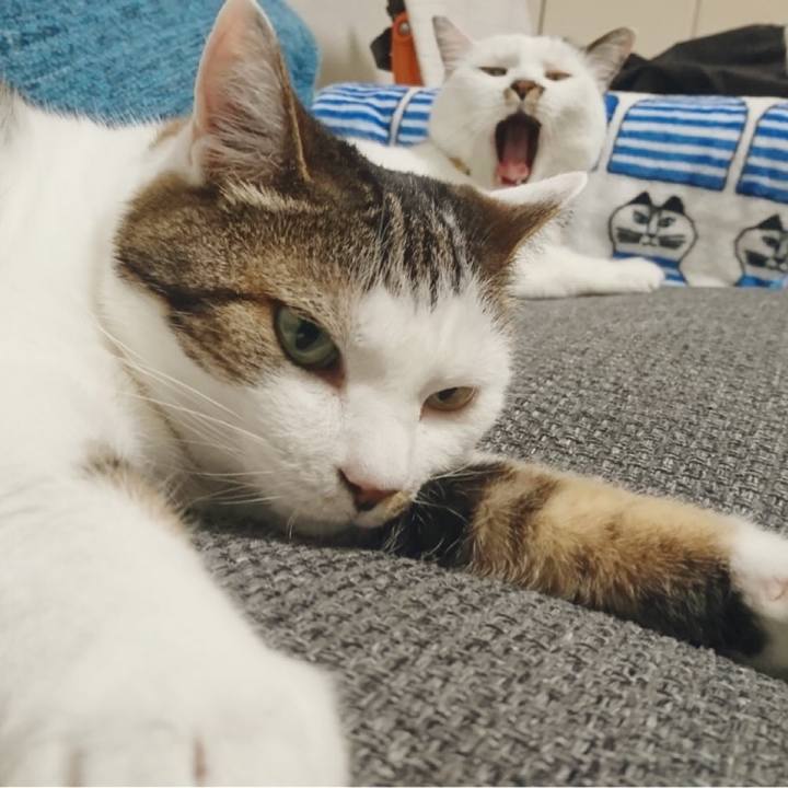 95be9e1e 664f 4b16 b7b0 cbabf5c500b2 1527297567398