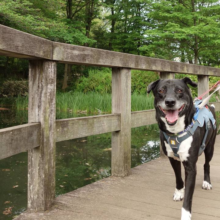 95bedbb9 1ea9 41eb 85e8 ad3677eb0ff5 1713662313597